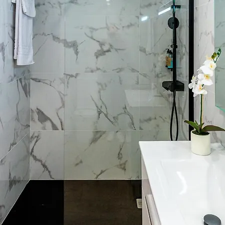 Cibeles Centro Historico *