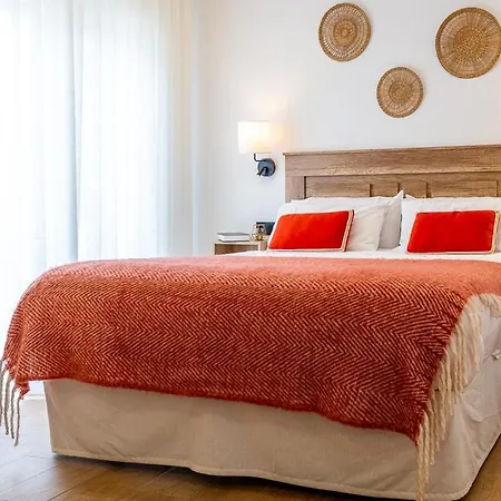 Cibeles Centro Historico, Nuevo Establecimiento Mérida