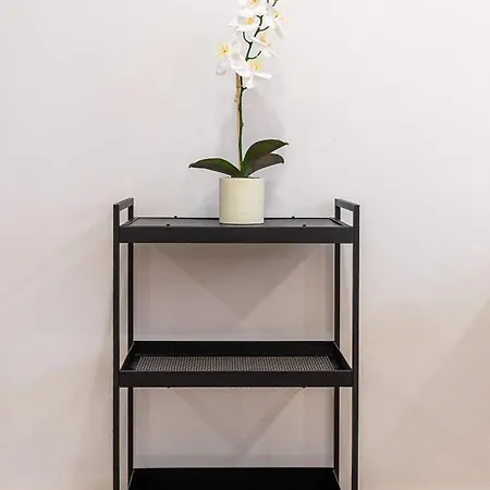 Appartement Cibeles Centro Historico, Nuevo Establecimiento *