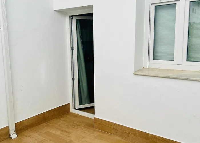 Cibeles Centro Historico, Nuevo Establecimiento