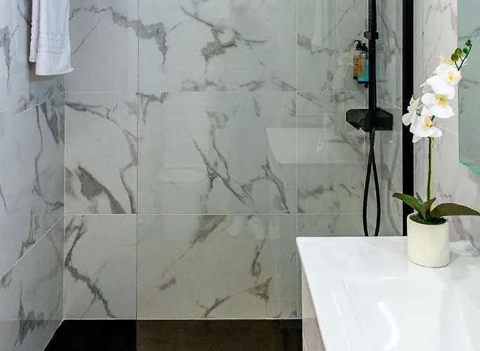 Cibeles Centro Histórico, Nuevo Establecimiento *