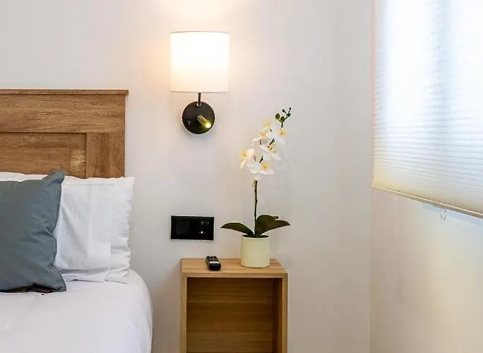 Cibeles Centro Histórico, Nuevo Establecimiento