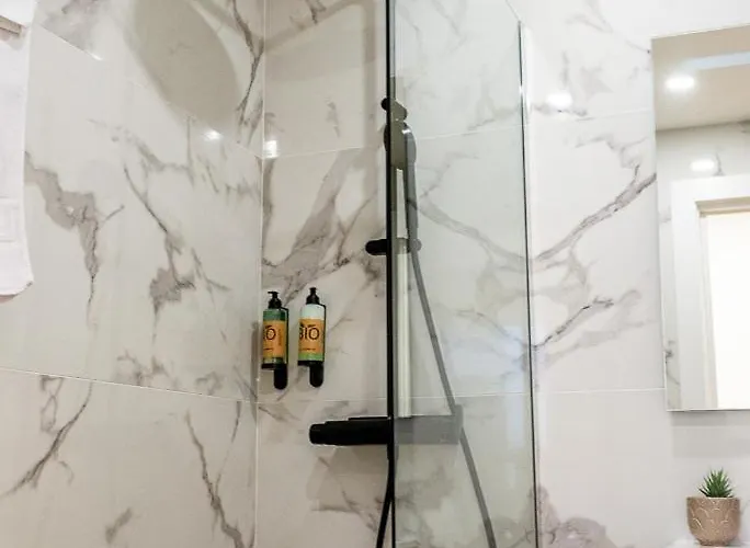 Cibeles Centro Histórico, Nuevo Establecimiento