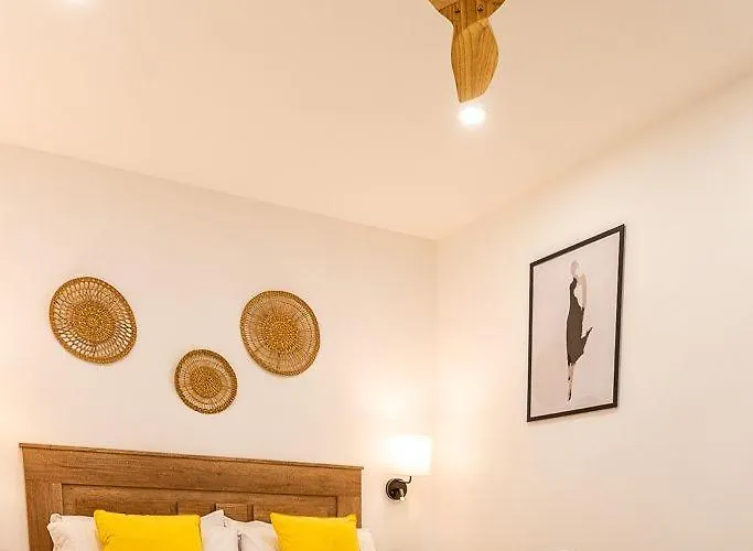 Cibeles Centro Histórico, Nuevo Establecimiento *