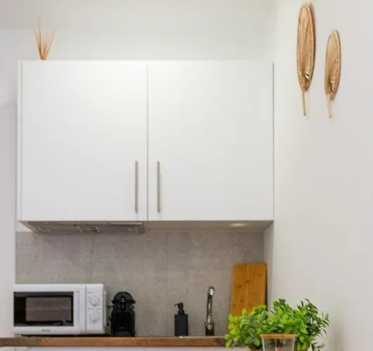 Cibeles Centro Histórico, Nuevo Establecimiento