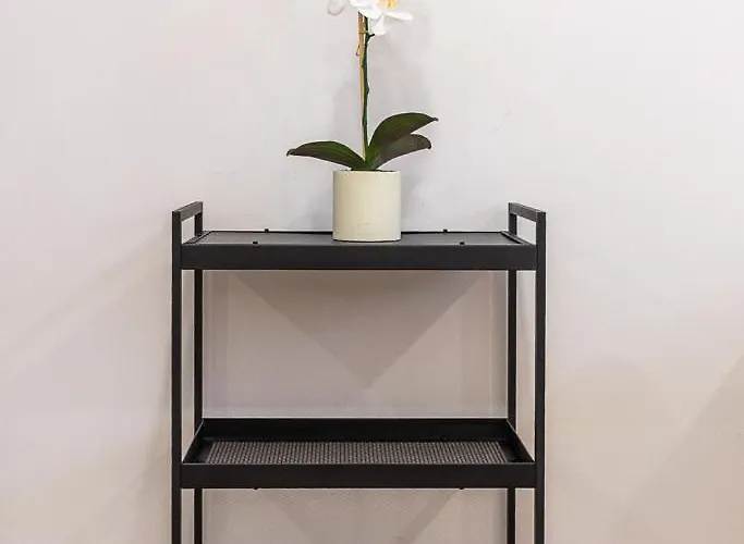 Apartmán Cibeles Centro Historico, Nuevo Establecimiento *