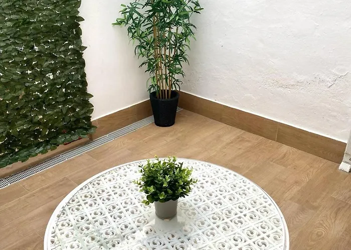 Apartamento Cibeles Centro Histórico, Nuevo Establecimiento